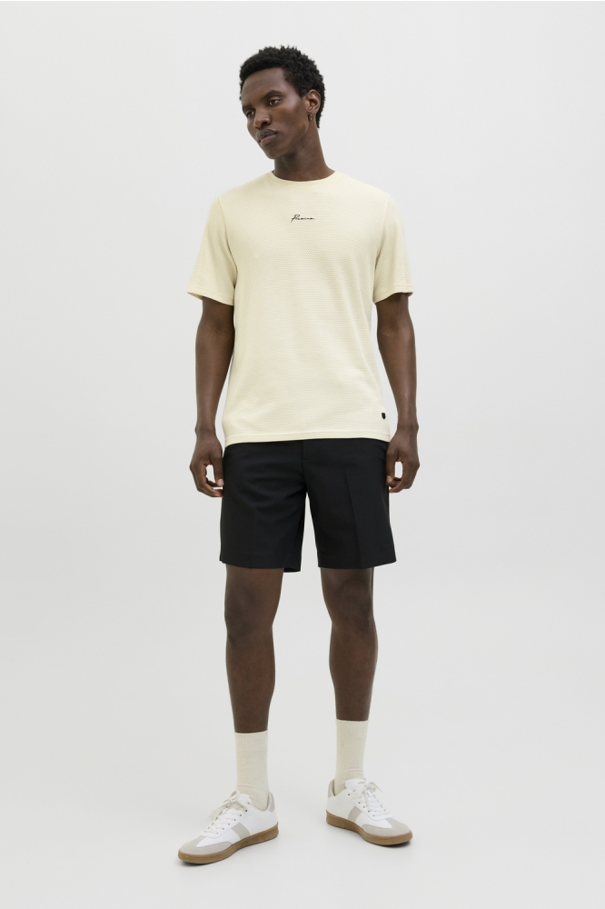 JPRBLAFRANCO SS TEE CREW NECK LN 12175825 CLOUD CREAM